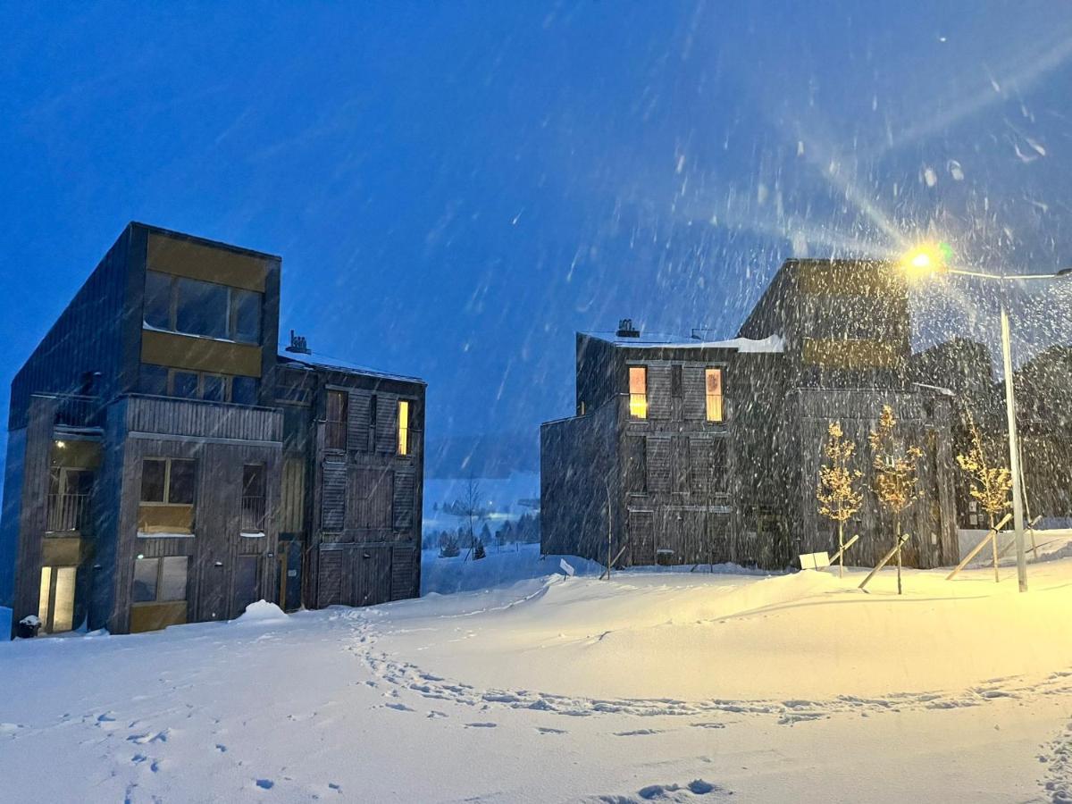 Meadows Apartments Klinovec Loučná pod Klínovcem Eksteriør billede