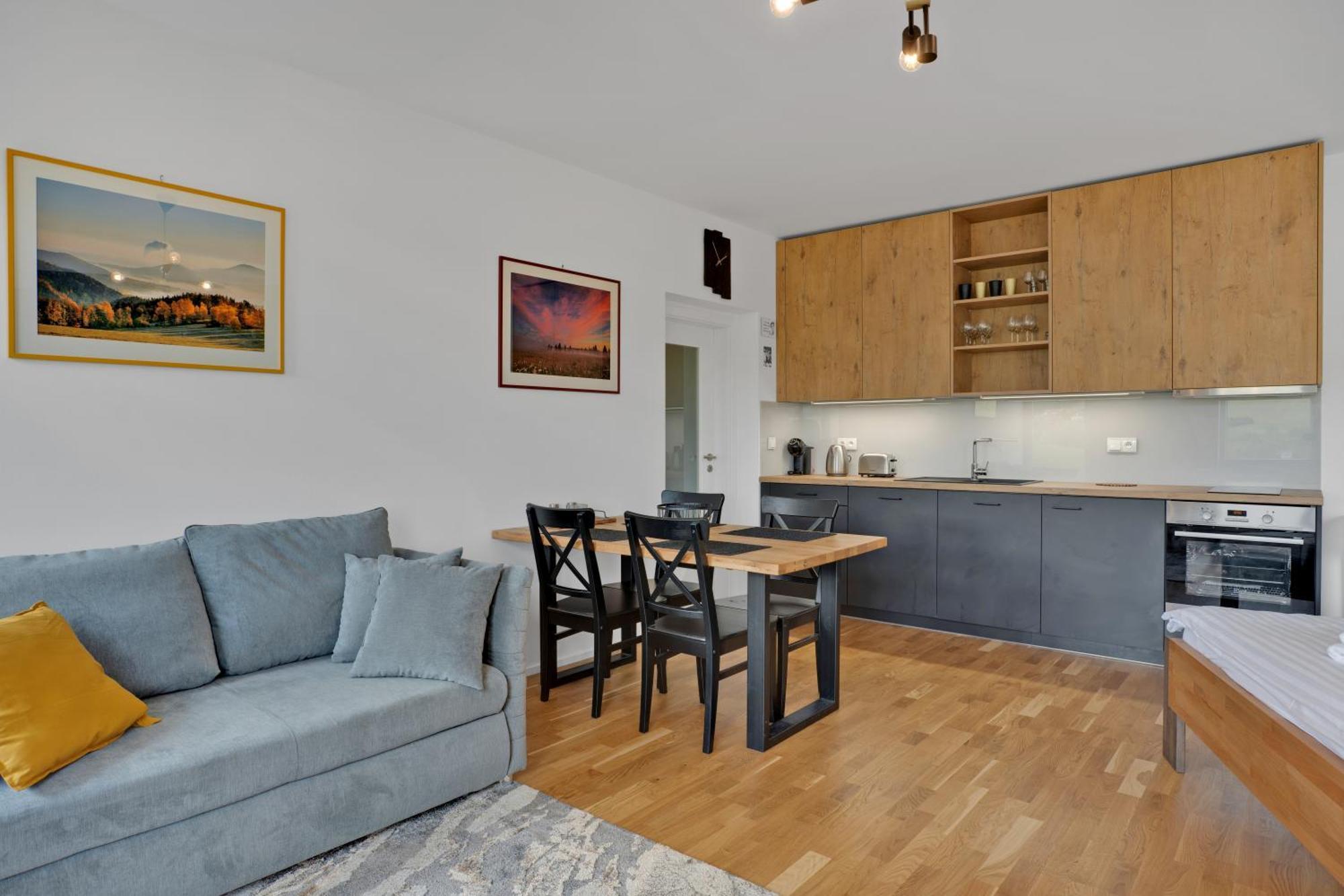 Meadows Apartments Klinovec Loučná pod Klínovcem Eksteriør billede